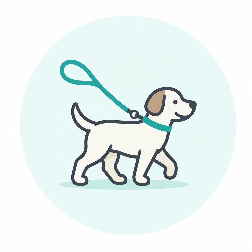 30 Min Professional Dog Walk - 10 Walk Package - SAVE 10%